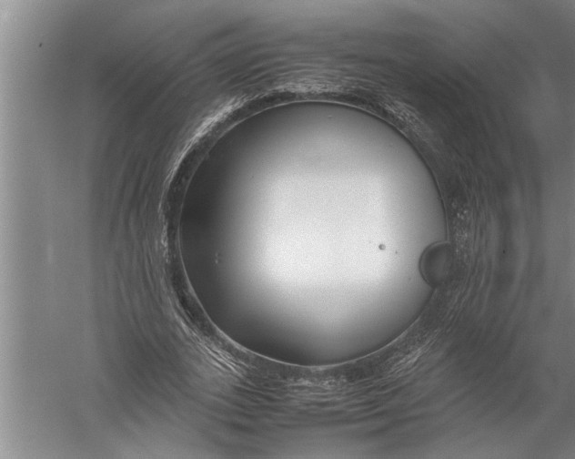 X0000057060727200510010106