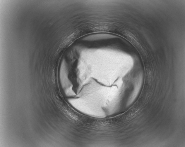 X0000057060729200510010106