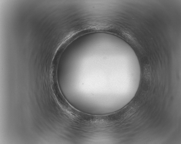 X0000057060730200510010106