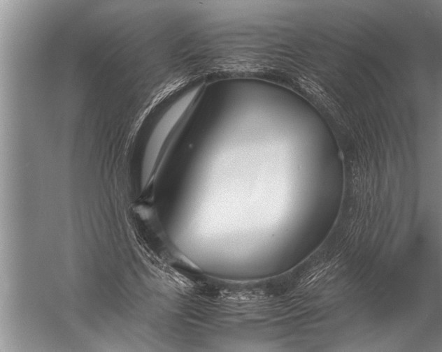 X0000057060731200510010106