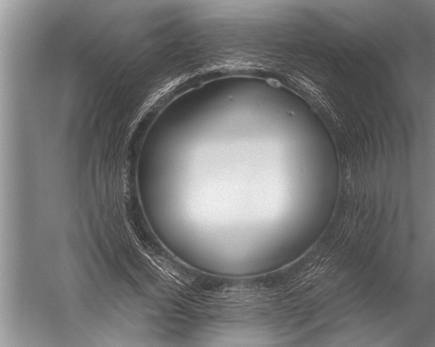 X0000057060732200510010106