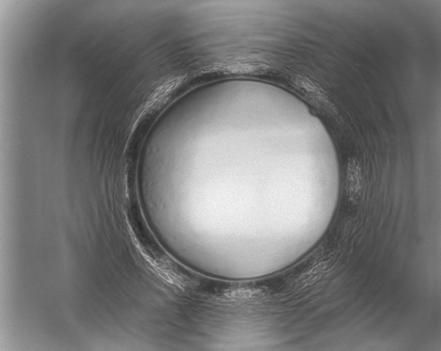 X0000057060734200510010107