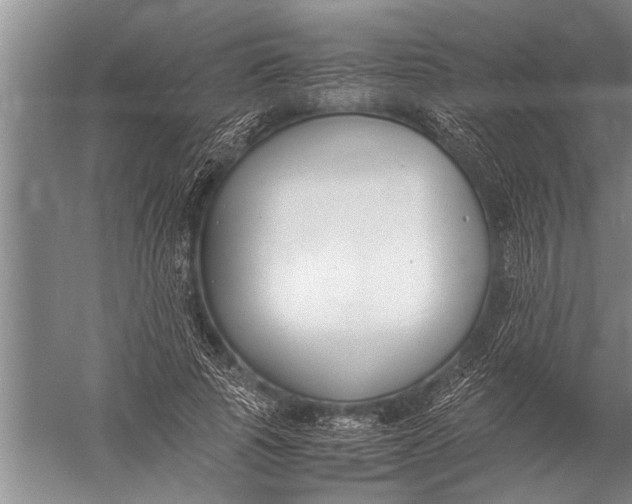 X0000057060737200510010107