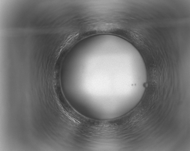 X0000057060738200510010107