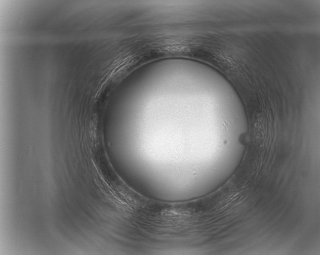 X0000057060739200510010107