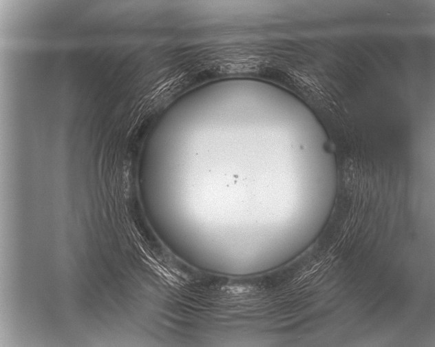 X0000057060741200510010107