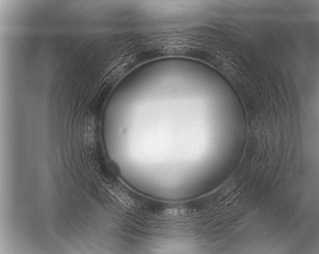 X0000057060744200510010107