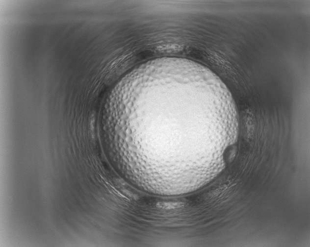 X0000057060745200510010107