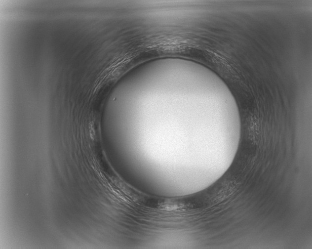 X0000057060746200510010107