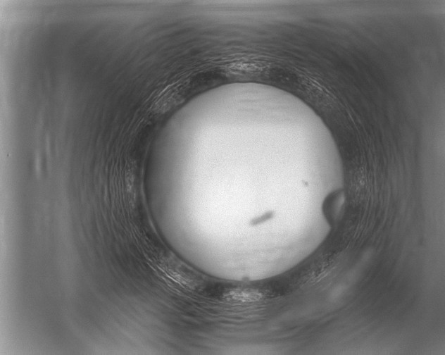 X0000057060749200510010107