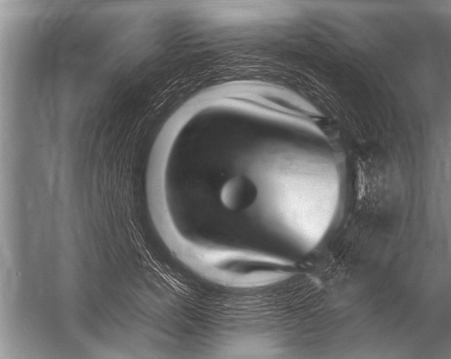 X0000057060750200510010107