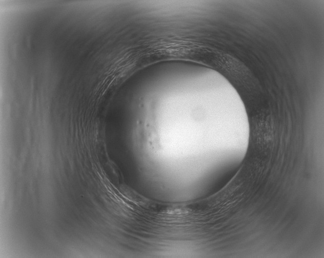 X0000057060752200510010107