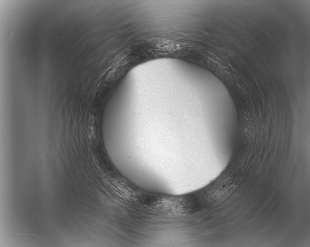 X0000057060758200510010107