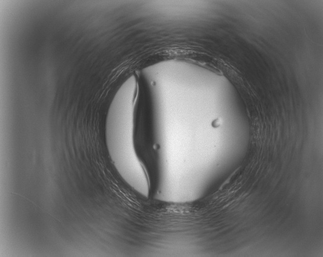 X0000057060762200510010107