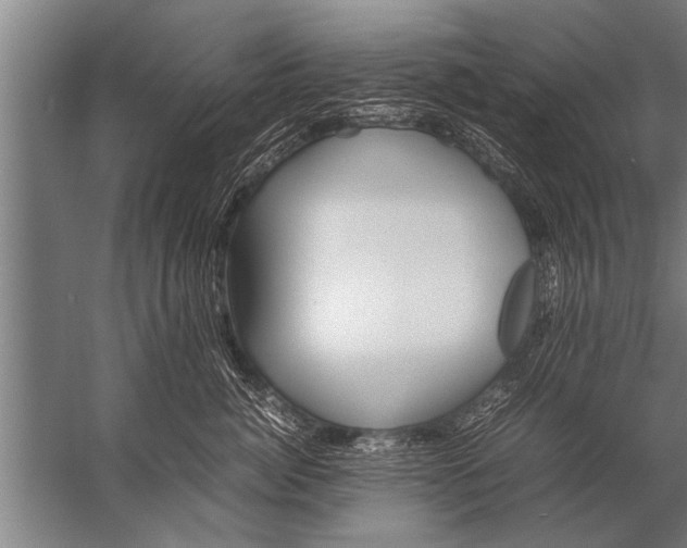 X0000057060764200510010107