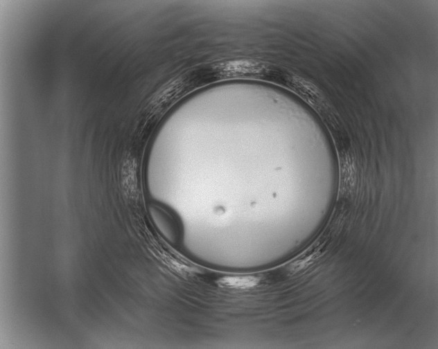 X0000057060765200510010107