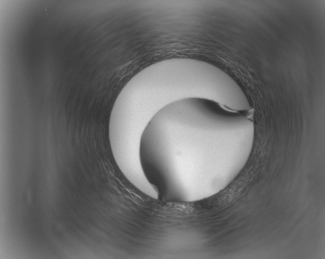 X0000057060768200510010107