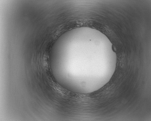 X0000057060770200510010106