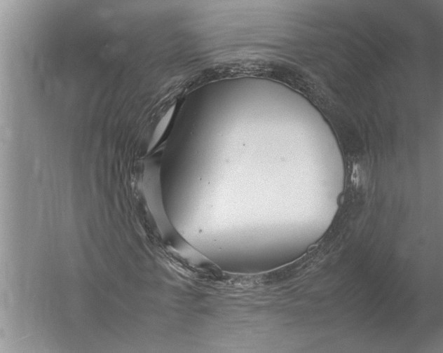 X0000057060771200510010106