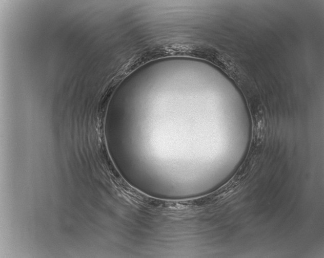 X0000057060772200510010106