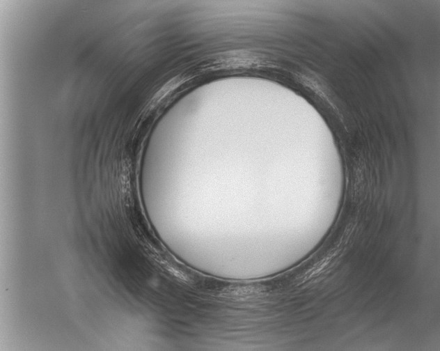 X0000057060778200510010106