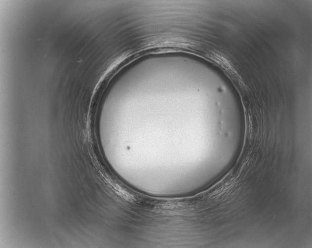 X0000057060780200510010106