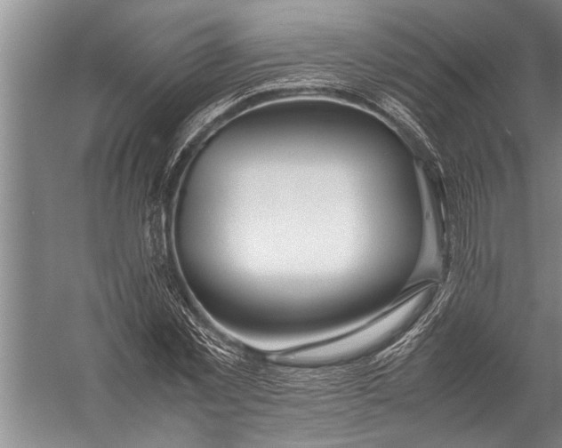 X0000057060781200510010106