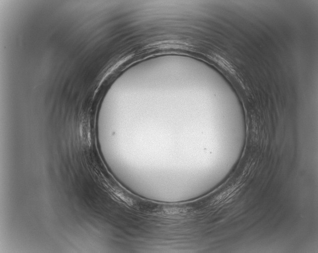 X0000057060782200510010106