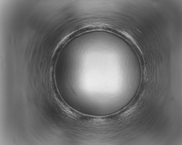 X0000057060783200510010106