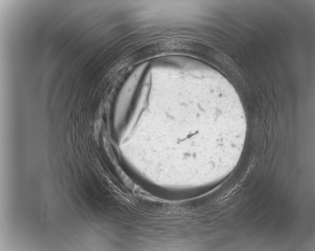 X0000057060785200510010106