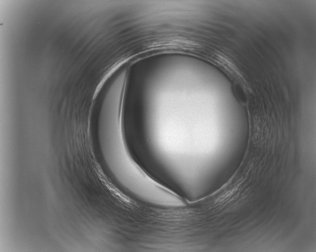 X0000057060788200510010106