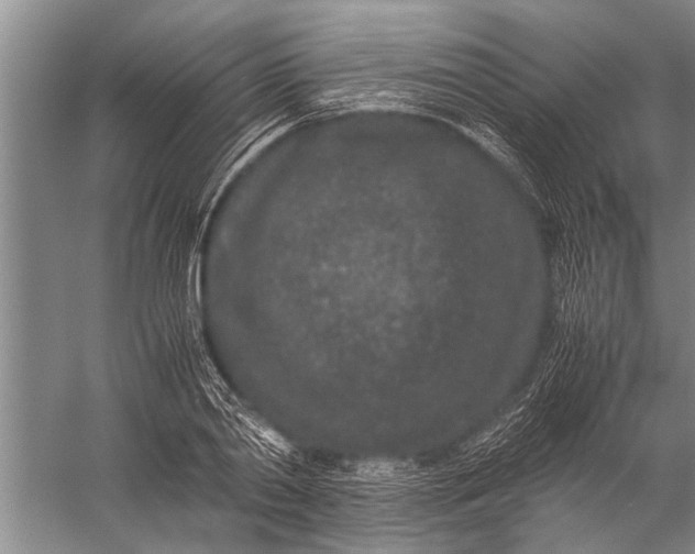 X0000057060790200510010106