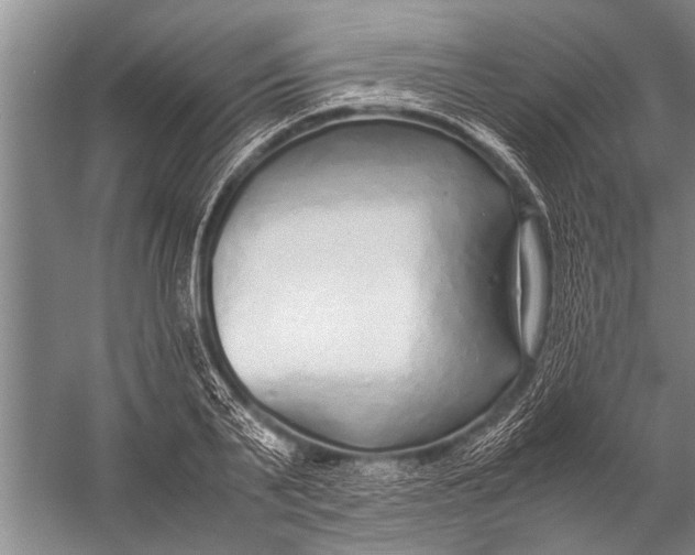 X0000057060791200510010106