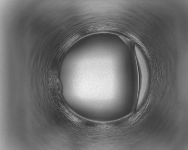 X0000057060793200510010106