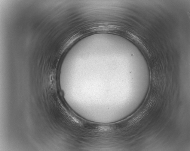 X0000057060794200510010106