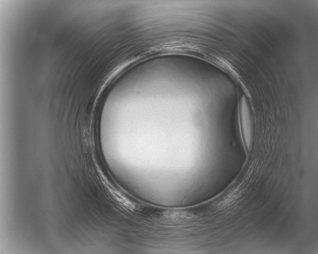 X0000057060795200510010106