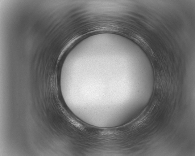 X0000057060796200510010106