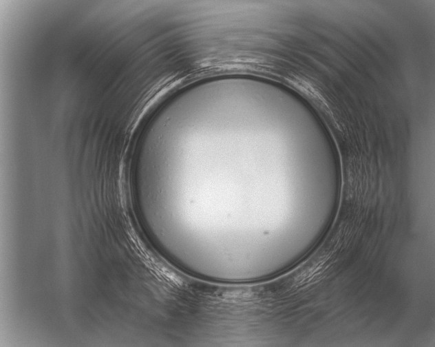 X0000057060798200510010106