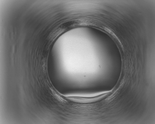 X0000057060801200510010106