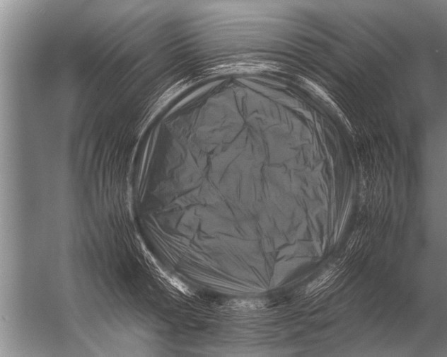 X0000057060802200510010106