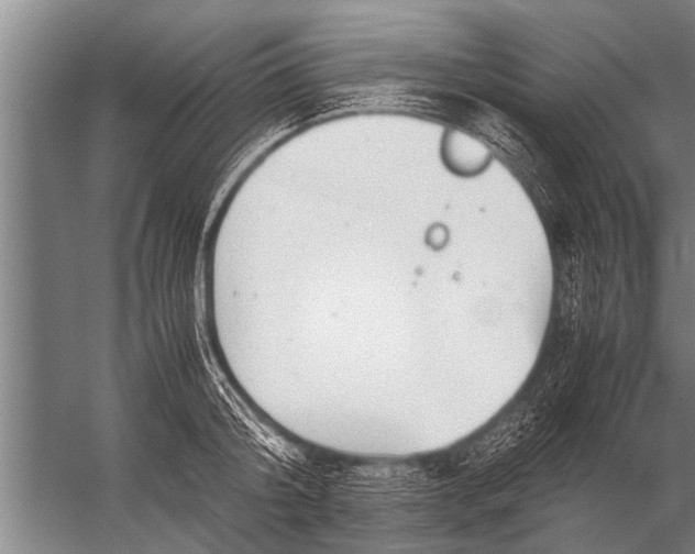 X0000057060804200510010106