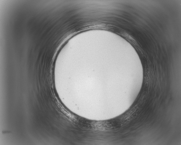 X0000057060808200510010106