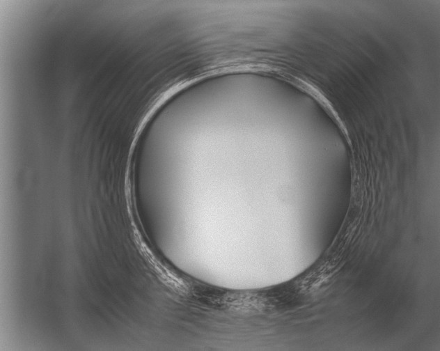 X0000057060811200510010106