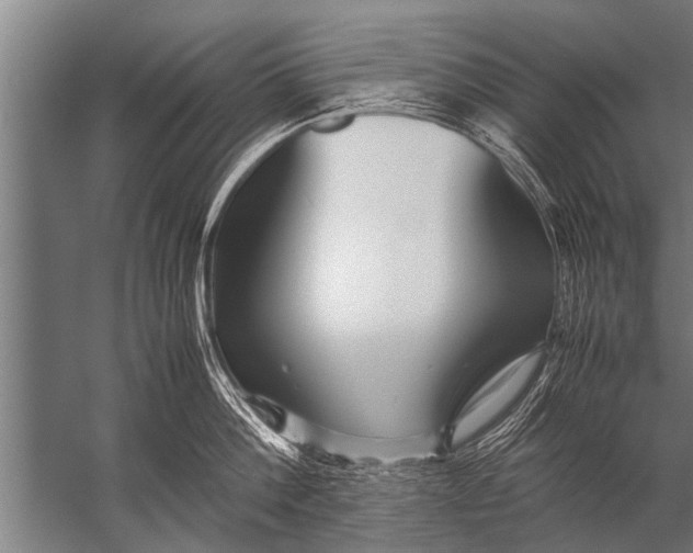 X0000057060812200510010106