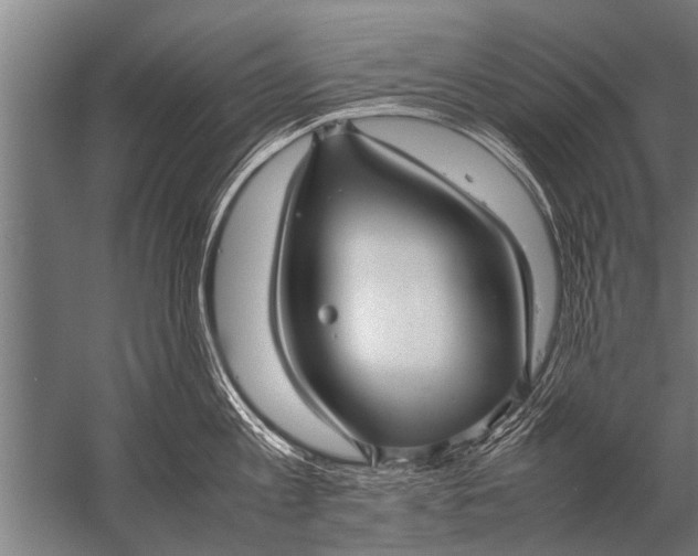 X0000057060813200510010106