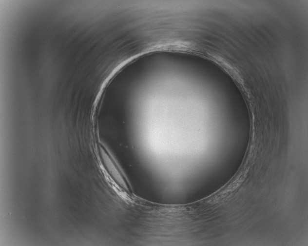 X0000057060816200510010105