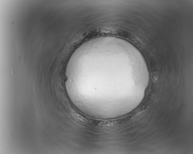 X0000057060817200510010105