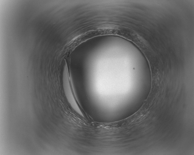 X0000057060821200510010105