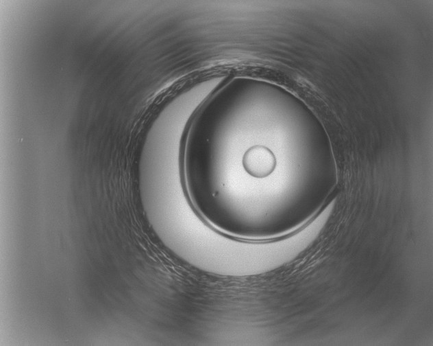 X0000057060822200510010105