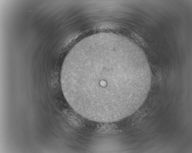 X0000057060824200510010105